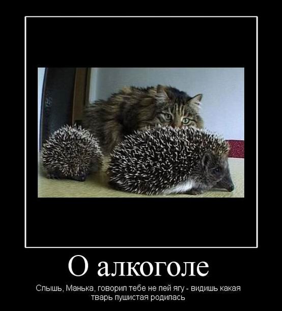 О алкоголе