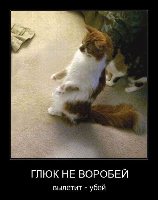 Глюк не воробей, вылетит - убей
