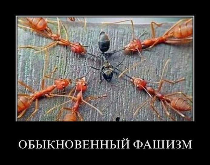 Обыкновенный фашизм