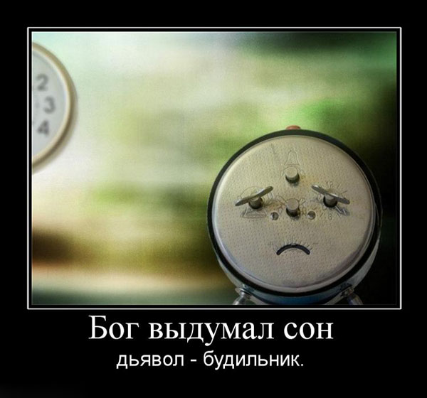   ,   - 
