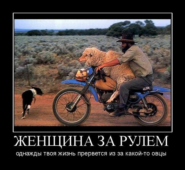    ,      (363 , 50 , )