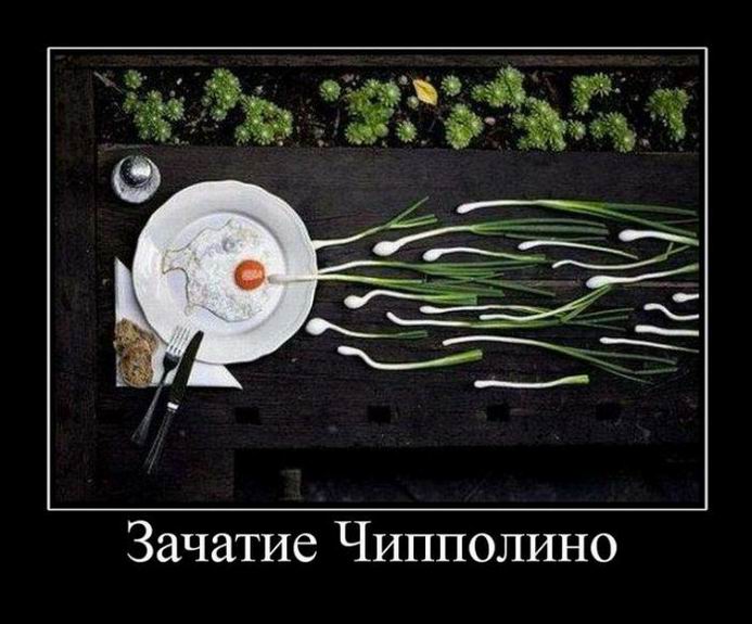 Зачатие Чипполино