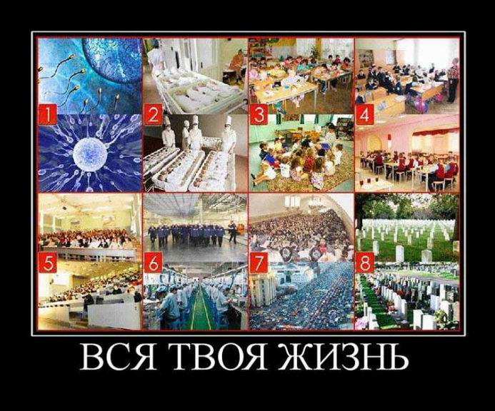 Праздники удались