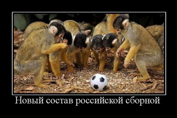 Новый состав россииской сборной
