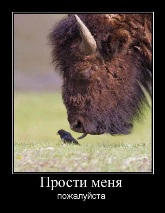 Прости меня пожалуйста