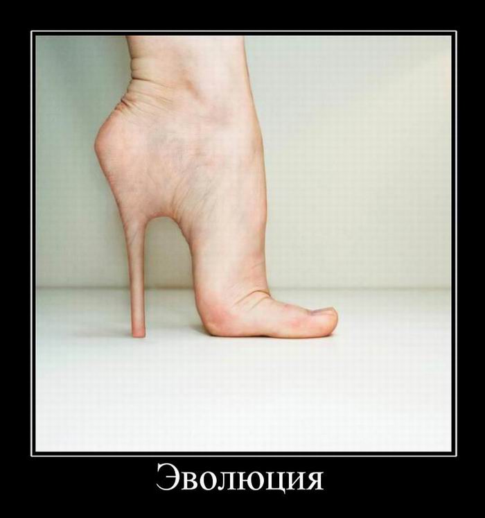 Эволюция
