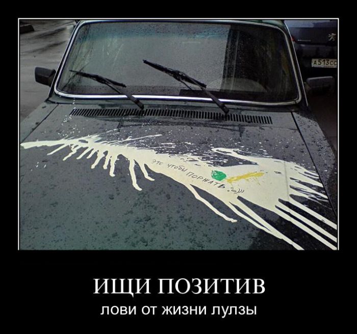 Ищи позитив. Лови от жизни лулзы