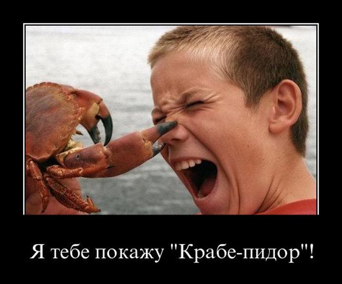 Я тебе покажу «Крабе-пидор»