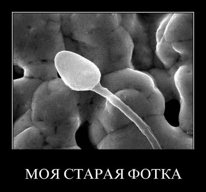 Моя старая фотка