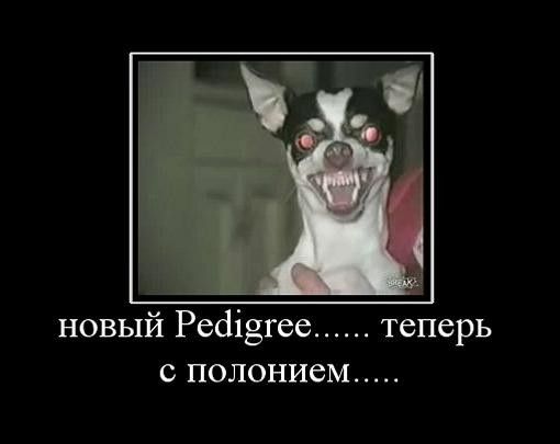 Pedigree