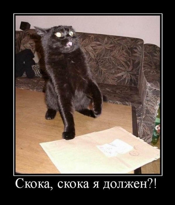 ,   ?!