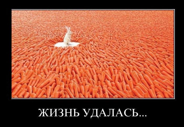 Жизнь удалась...