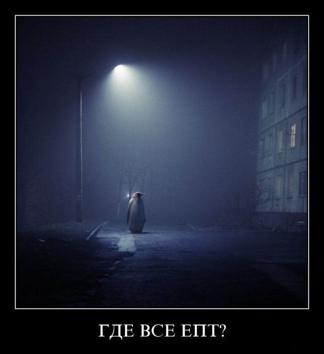 Где все, ёпт?