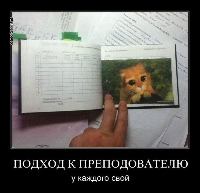 Подход к преподавателю у каждого свой