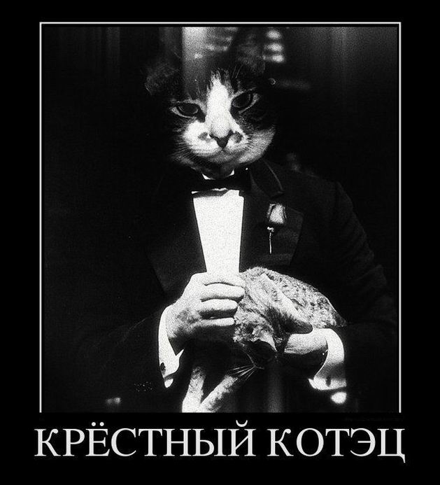 Крестный котэц