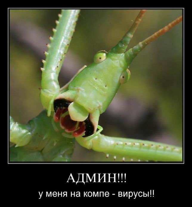 Админ!! У меня на компе вирусы!