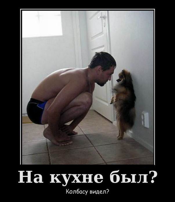 На кухне был Колбасу видел