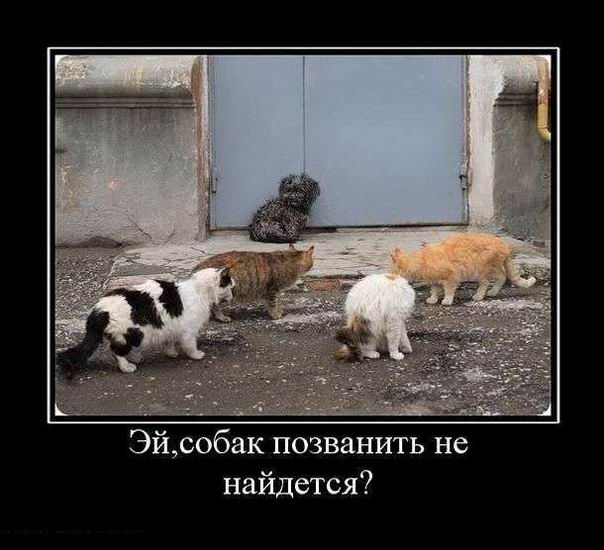 ,    ?