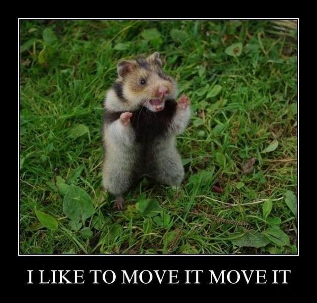 I like to move it, I like to move it