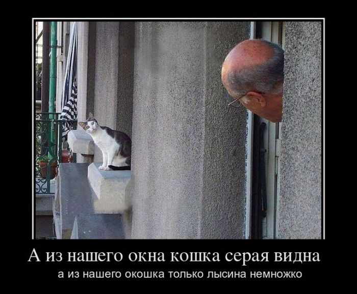 А из нашего окна