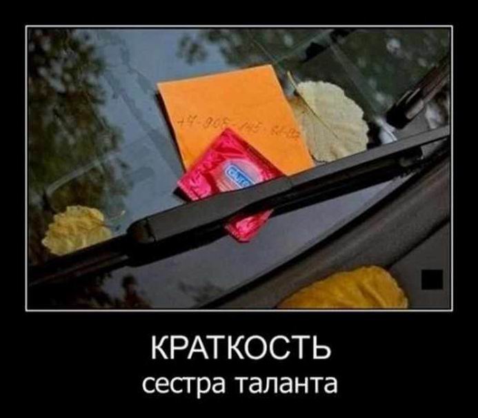 Краткость — сестра таланта
