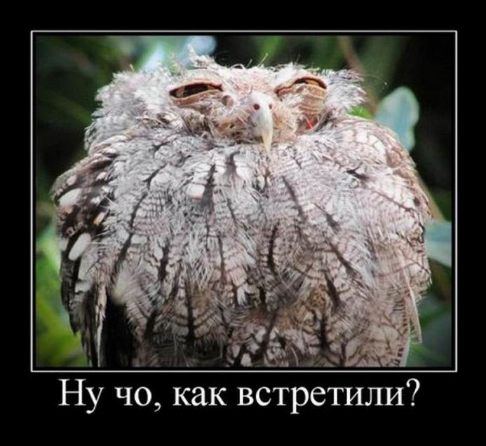 . ,  ?
