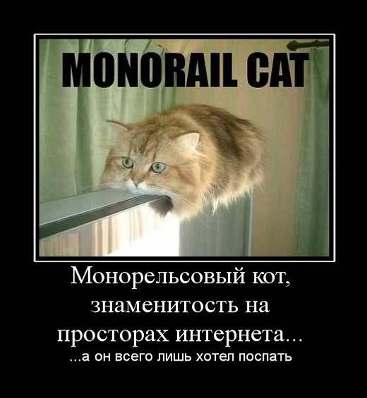 Монорельсовый кот