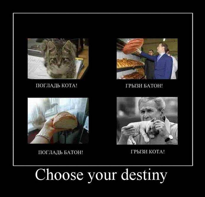 Choose your destiny