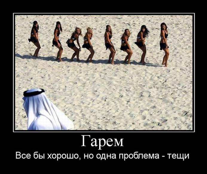 Гарем. Все бы хорошо, но одна проблема - тещи