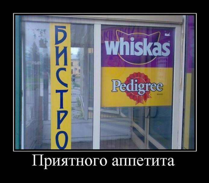  : Whiskas and Pedigree