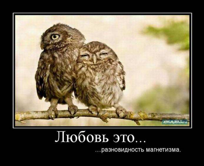 Любовь это разновидность магнетизма