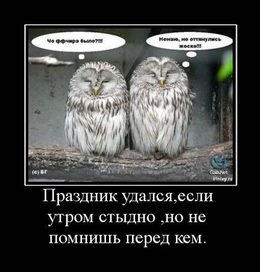 Праздник удался, если утром стыдно‚ но не помнишь перед кем