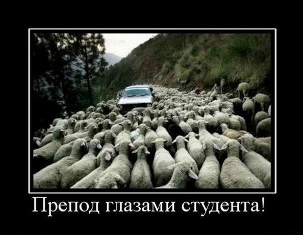 Препод глазами студента!
