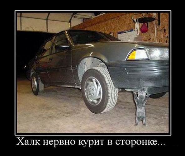 Халк нервно курит в сторонке...