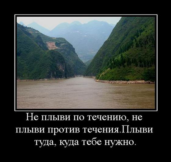 Не плыви по течению, не плыви против течения
