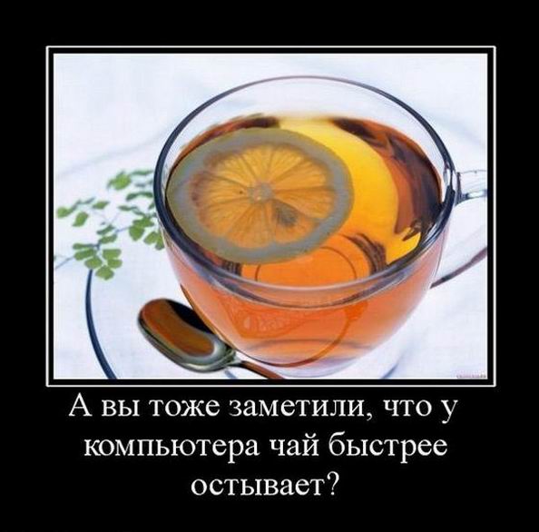 А вы тоже заметили, что у компьютера чай быстрее остывает?