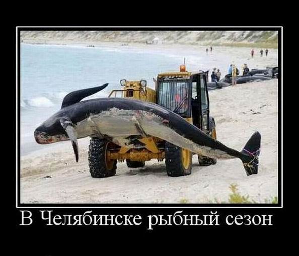 В Челябинске рыбный сезон
