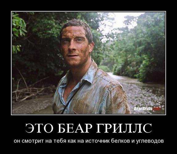 Это Беар Гриллс
