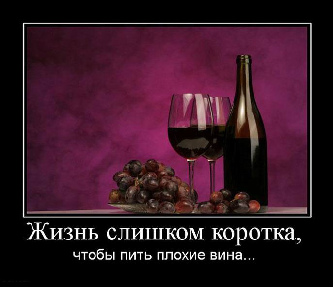 Жизнь слишком коротка, чтобы пить плохие вина...