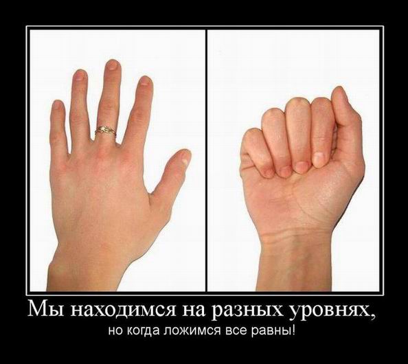    ,     !