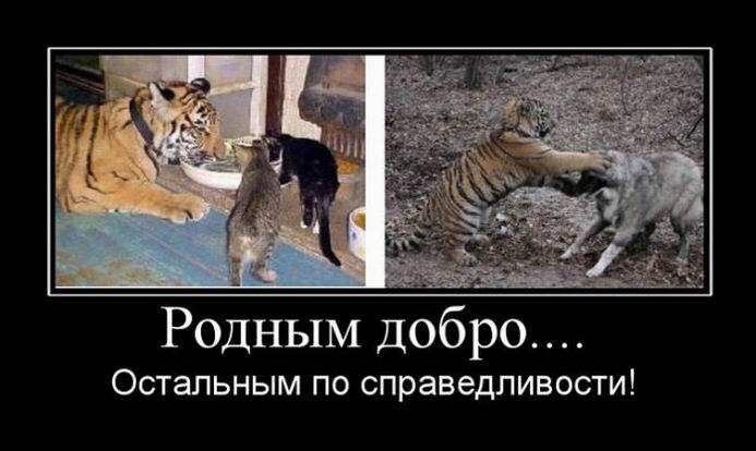 Родным добро... Остальным по справедливости!