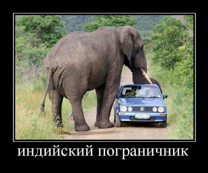 Индийский пограничник