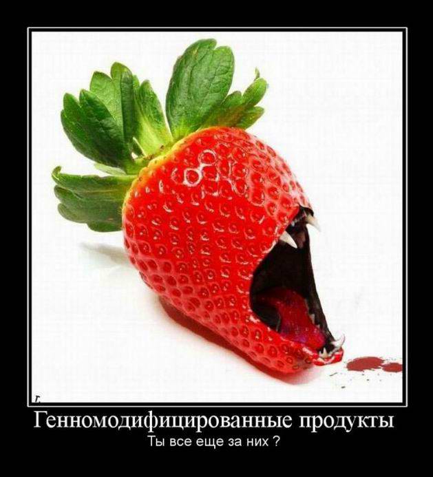 Генномодифицированные продукты