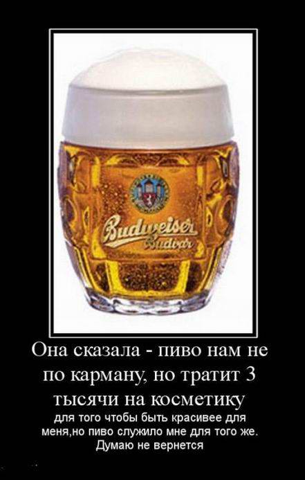 Она сказала пиво нам не по карману