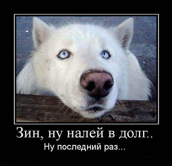 налей в долг