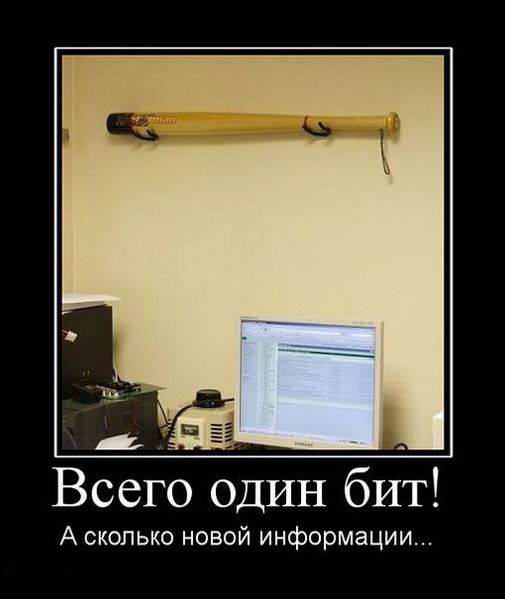Всего один бит!