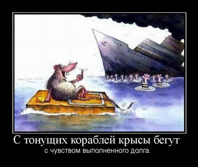 Как и куда бегут крысы с тонущего корабля?