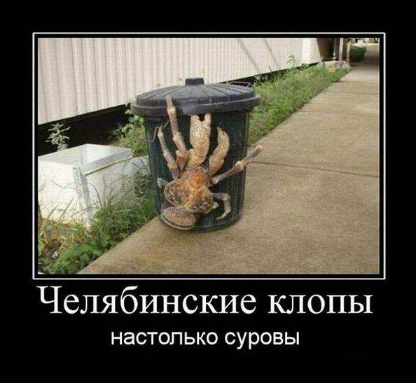 Челябинские клопы настолько суровы