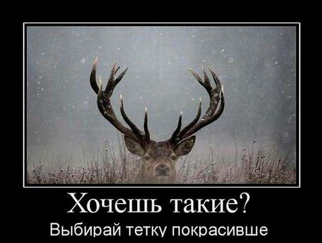   ?   