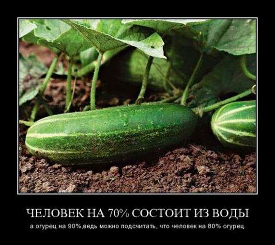   70%   